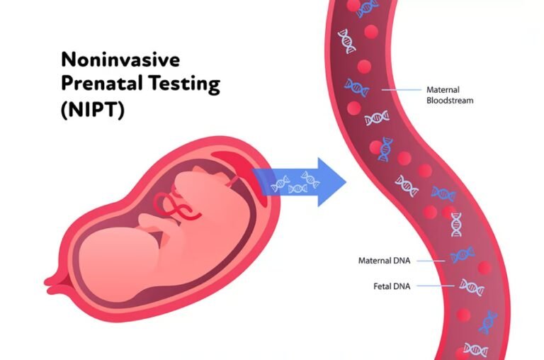 What Is Non-Invasive Prenatal Testing (NIPT)? Benefits, Accuracy & Cost Explained non invasive prenatal testing